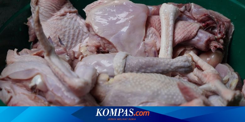 Berapa Lama Merebus Kepala Ayam untuk Kucing?