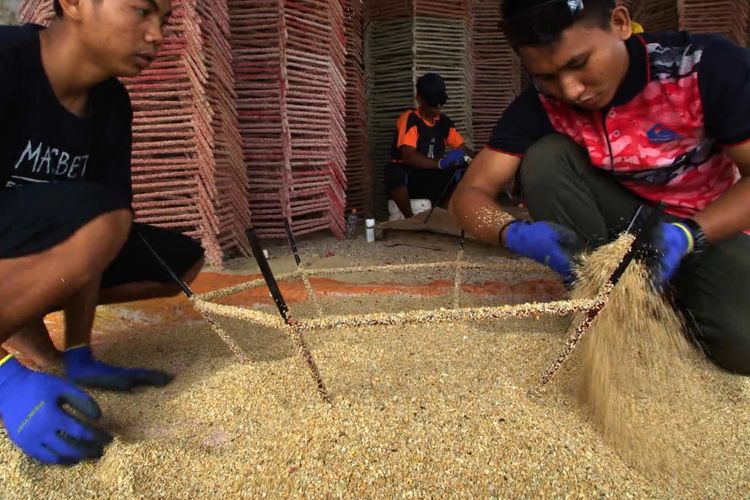 Reef Star dari Sheba