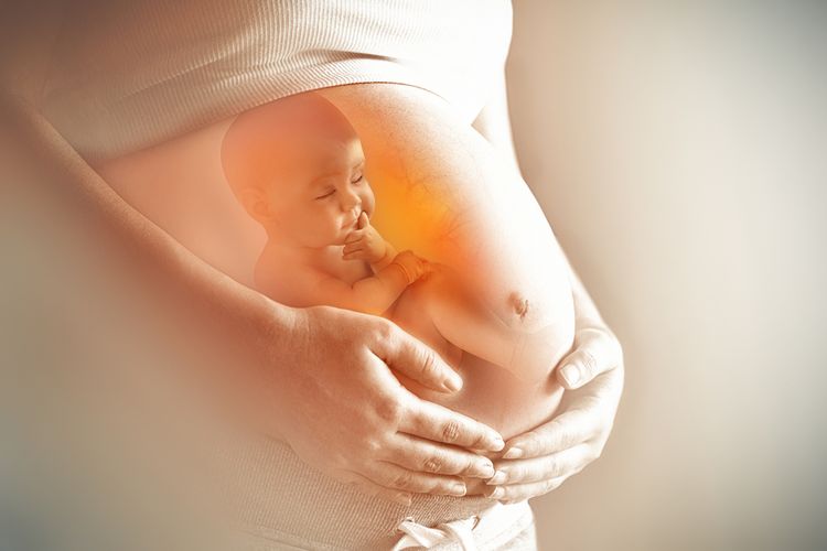 Ilustrasi ibu hamil dan janin dalam kandungan.