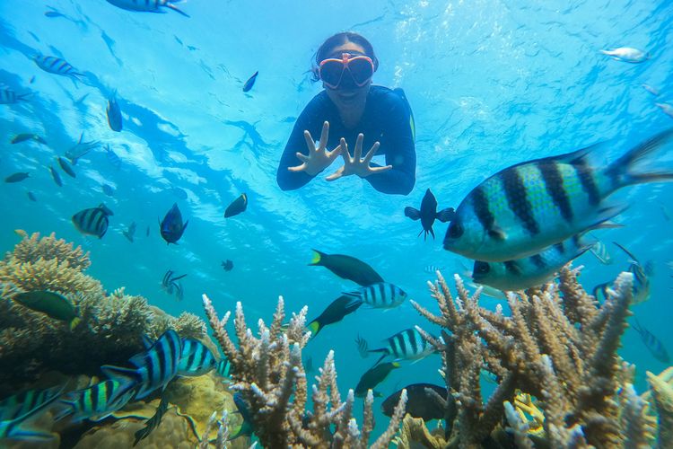 Ilustrasi Snorkeling di Karimunjawa.