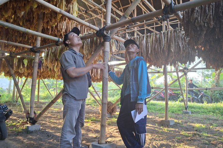 Desain baru gudang pengeringan tembakau di Desa Jatigono, Kecamatan Kunir,