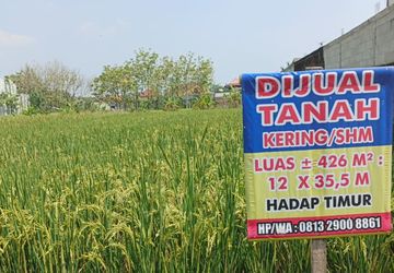 Cek Sertifikat Tanah Terjangkau, Tapi Bisa Selamatkan Aset Miliaran
