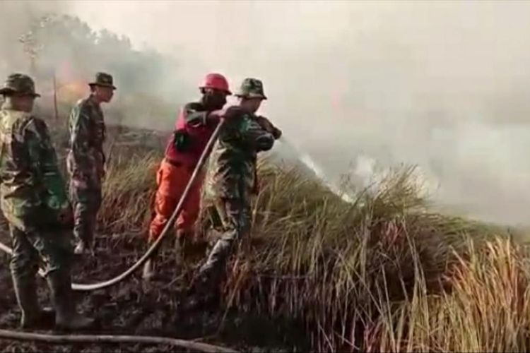 Petugas TNI dan Manggala Agni berjibaku memadamkan api karhutla di Kelurahan Tirta Siak, Kecamatan Payung Sekaki, Pekanbaru, Riau, Sabtu (20/7/2019).