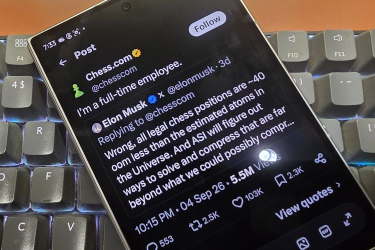 Elon Musk Ribut Lagi dengan Chess.com, Sebut Anak Magang Random