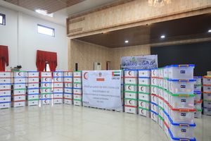 Mendagri Jelaskan Duduk Perkara Bantuan 30 Ton Beras dari UEA yang Dikembalikan Wali Kota Medan