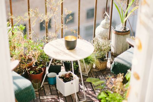 Simak, Langkah Menyiapkan Kebun Sayur di Balkon Rumah