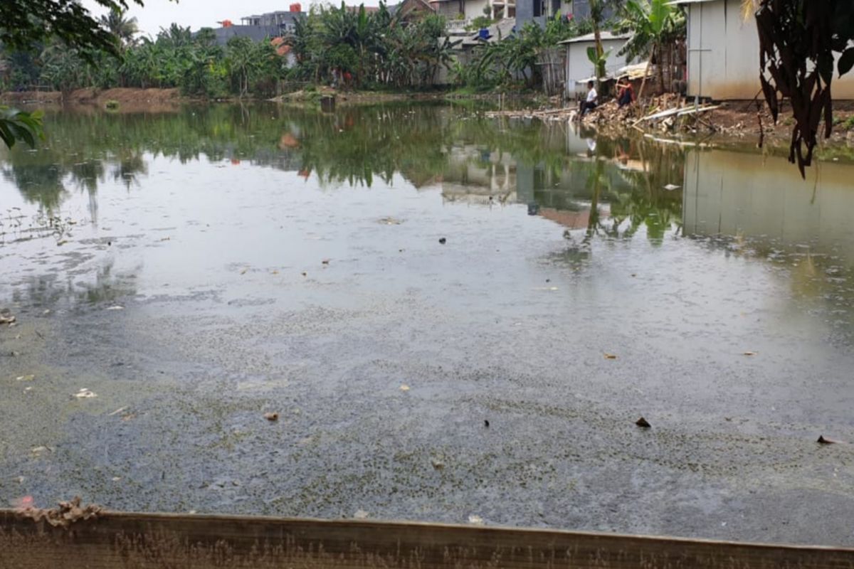 Air di waduk Surilang, Pasar Rebo dipenuhi lumut dan berwarna hijau, Sabtu (23/2/2019)