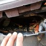 Dek Bawah Skutik Berpotensi Jadi Sarang Tikus, Ini Cara Mencegahnya