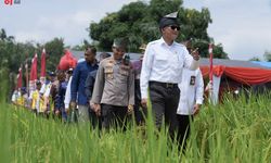 Perangi Dampak El Nino, Kementerian PU Bergerak Cepat Tangani 492 Titik Kekeringan di Indonesia