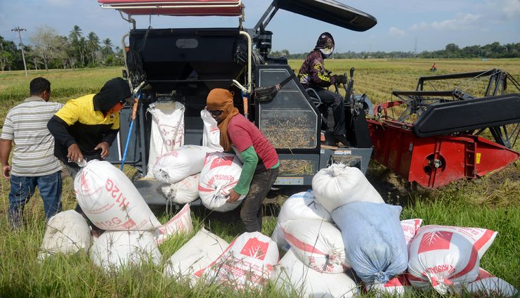 Kebangkitan Petani dan Semangat Nasionalisme Baru