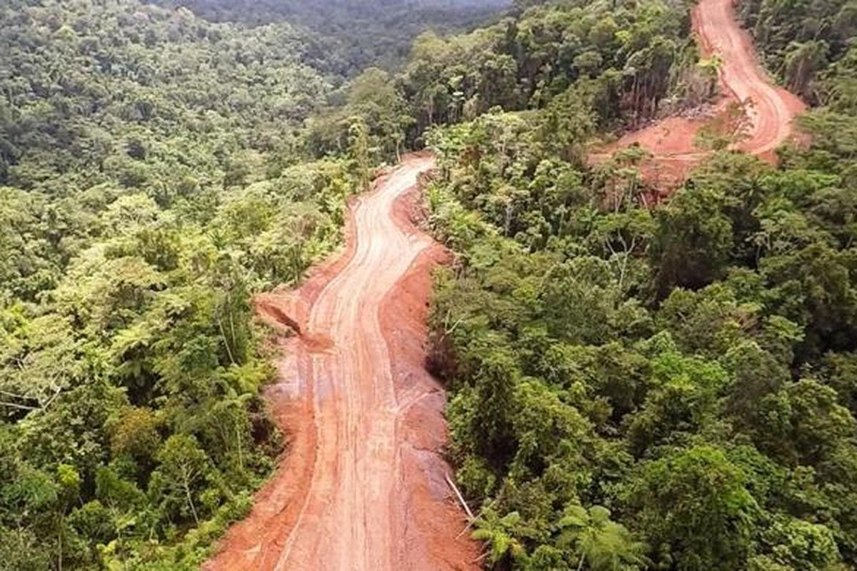 Jalan Trans Papua