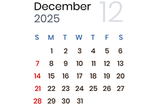 Kisah Salmiati Menyelamatkan Kucing-kucing Saat Banjir Bandang dan Longsor di Sumbar