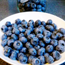 Manfaat Buah Bluberi untuk Mengatasi Tekanan Darah Tinggi
