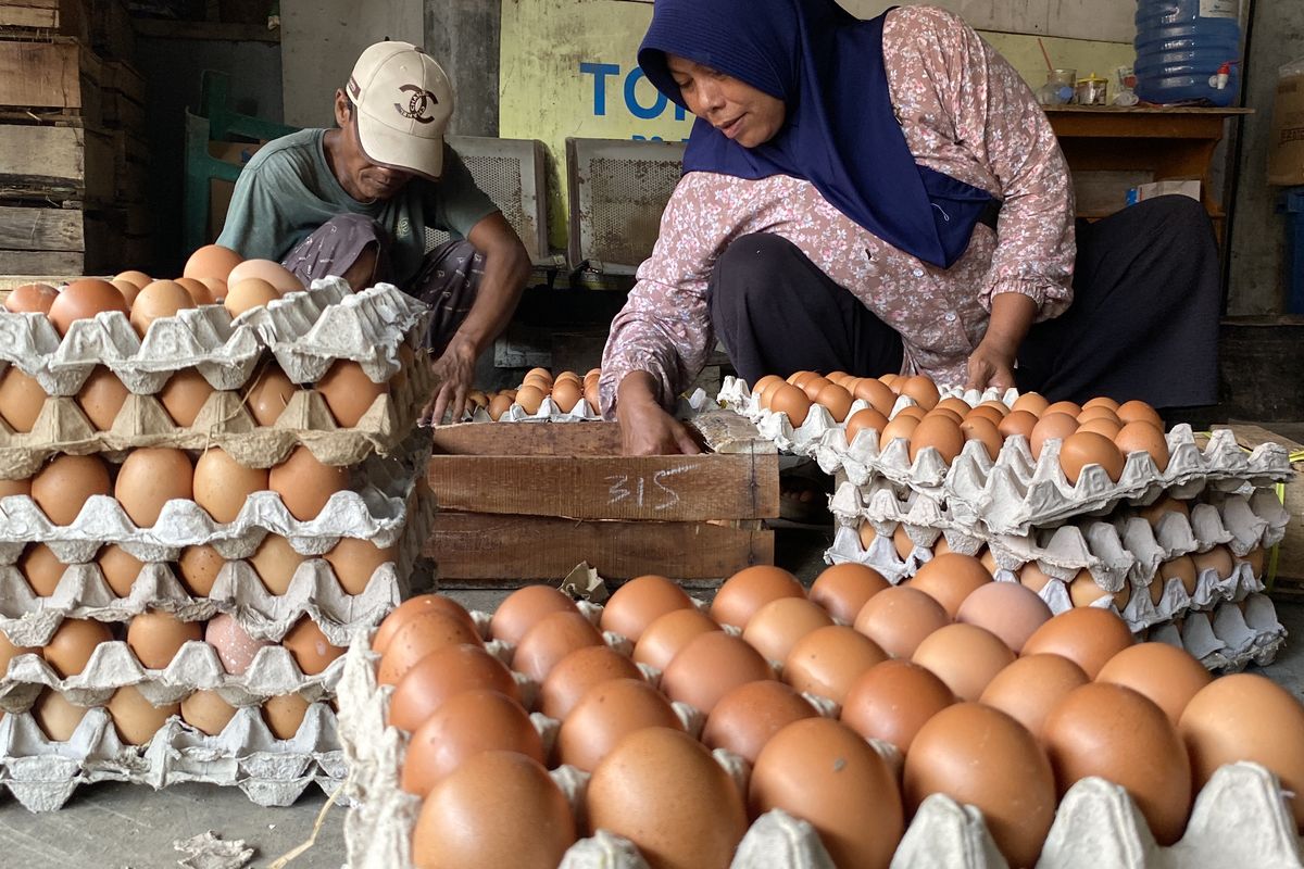 Harga Telur Anjlok, Kementan Janji Berpihak Ke Peternak