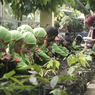 Wisata Kampung Coklat Blitar: Jam Buka dan Harga Tiket