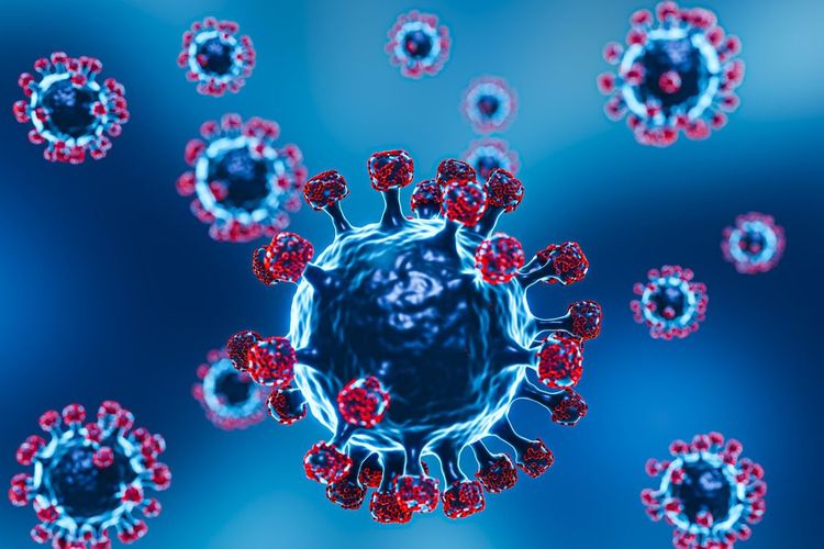 Biasanya Menyerang Ternak, Virus Shamonda Terdeteksi pada Manusia untuk Kali Pertama