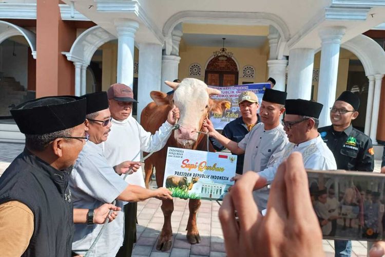 Penyerahan hewan sapi kurban jokowi di Desa Ombe, Lombok Barat NTB
