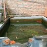 Berenang di Kolam Ikan, Balita 2 Tahun Tewas Tenggelam