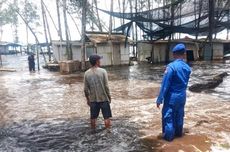 Banjir Rob Satu Meter Terjang Puluhan Warung di Pantai Selatan Jember