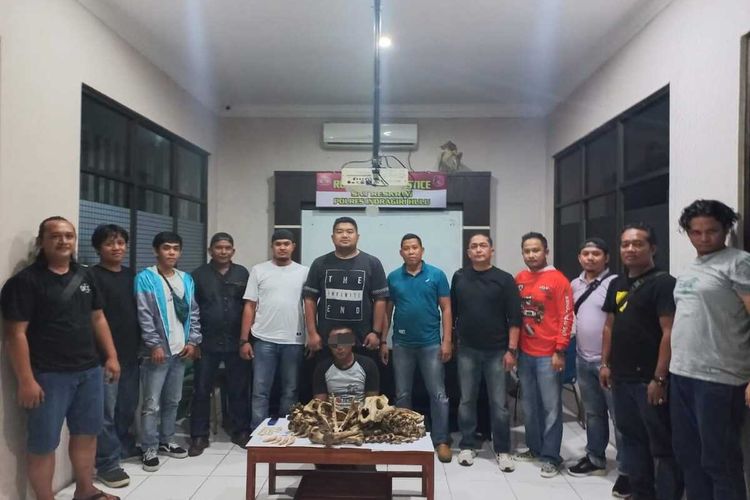 Petugas Satreskrim Polres Inhu saat mengamankan seorang pelaku pembunuh dan penjual tulang harimau sumatera di Kabupaten Inhu, Riau, Rabu (19/10/2022).