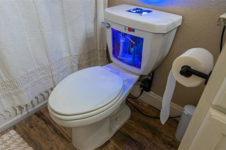 PC toilet yang dirancang oleh Nick Zetta, pemilik kanal YouTube Basically Homeless.