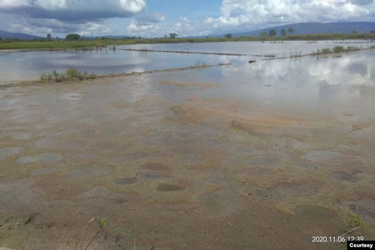 Areal persawahan di desa Meko yang terendam air luapan danau Poso sehingga tidak bisa diolah petani sejak Juli 2020. Jumat (