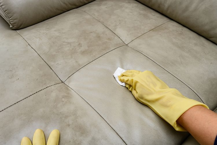 Ilustrasi membersihkan sofa kulit. 