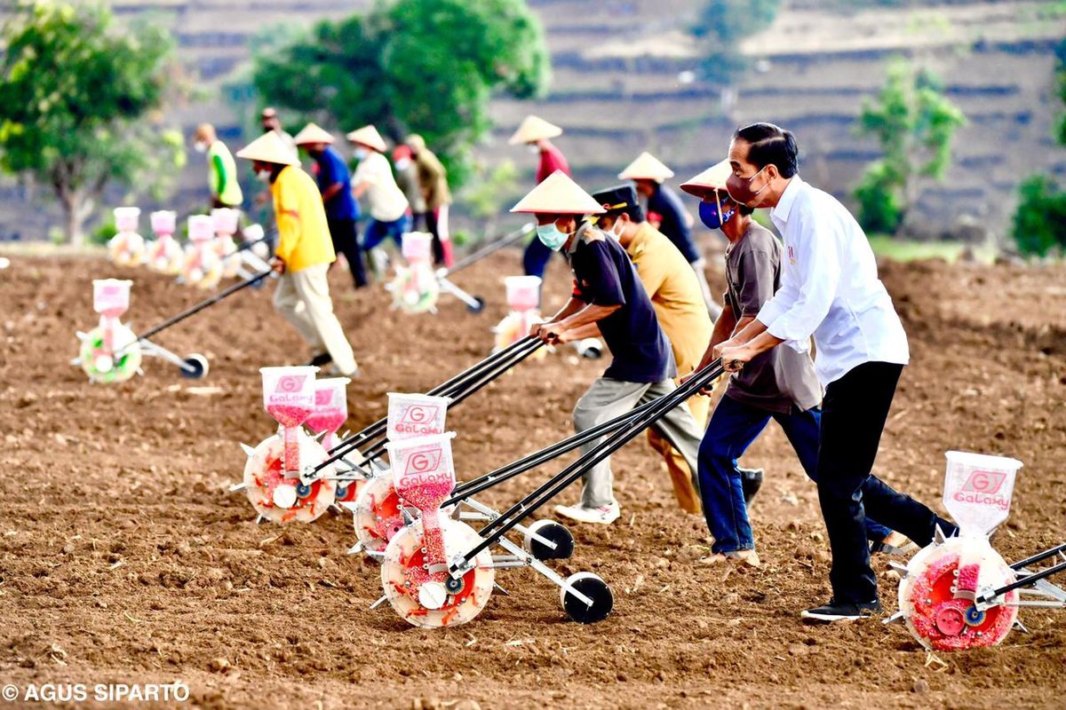 Presiden Joko Widodo melakukan penanaman jagung menggunakan mesin tanam jagung atau planter di Kabupaten Jeneponto, Sulawesi Selatan, Selasa (23/11/2021). Kepala Negara berharap, dengan makin banyak petani yang menanam jagung, kebutuhan jagung secara nasional dapat tercukupi.