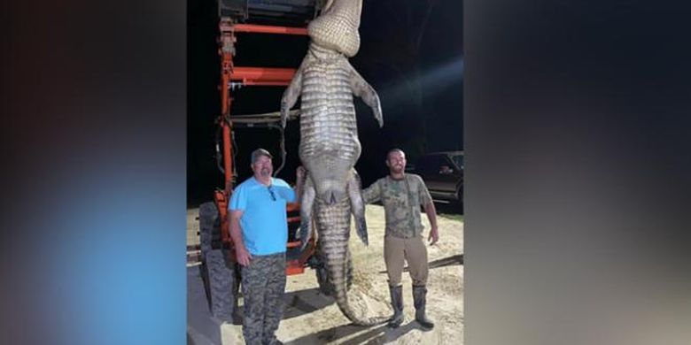 After 3 years of dreaming, this man finally managed to catch a giant crocodile