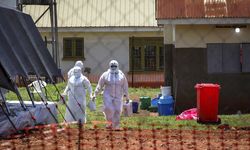Pakar Ungkap Wabah Penyakit Menular seperti Hantavirus dan Ebola Makin Sering dan Kian Merusak