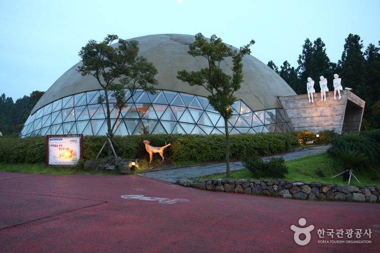 Di dalam kubah gelas tersebut terdapat tempat makan yang bisa dikunjungi oleh wisatawan Jeju Love Land, Korea Selatan.