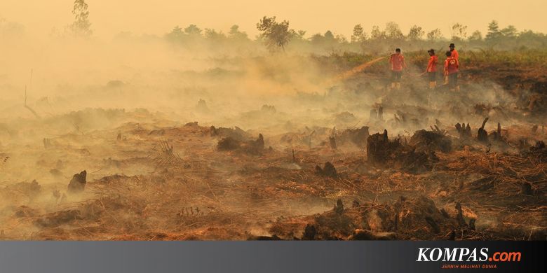 Belajar Mengelola Lahan Gambut dari Suku Dayak