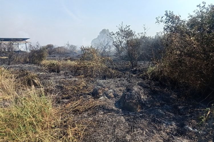 Tim pemadam kebakaran dari Tegal dan Pemalang menjikan api di lahan kosong