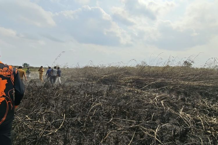 El Nino Belum Capai Puncak, Karhutla Bisa Naik, Pemerintah Setop Aturan Bakar Lahan 2 Hektare
