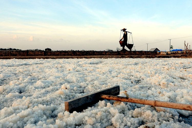 Foto dirilis Senin (2/11/2020), memperlihatkan petani memanen garam di Desa Bunder, Pademawu, Pamekasan, Jawa Timur. Pemerintah melalui Kementerian Koordinator Bidang Kemaritiman dan Investasi (Kemenko Marves) terus berupaya dan mendorong pembangunan lumbung garam nasional dengan penekanan pada peningkatan kuantitas dan kualitas produksi garam rakyat.