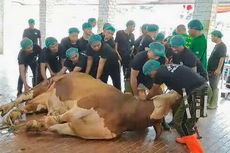 Penyumbang Sapi Kurban ke Masjid Istiqlal Naik Hampir 50 Persen dari Tahun Lalu