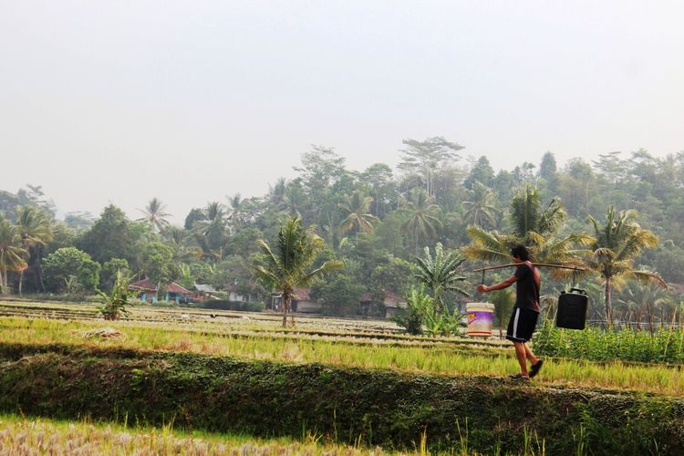 Ketika Kemarau Panjang Menguras air Sumur dan Isi Dompet Warga Cianjur
