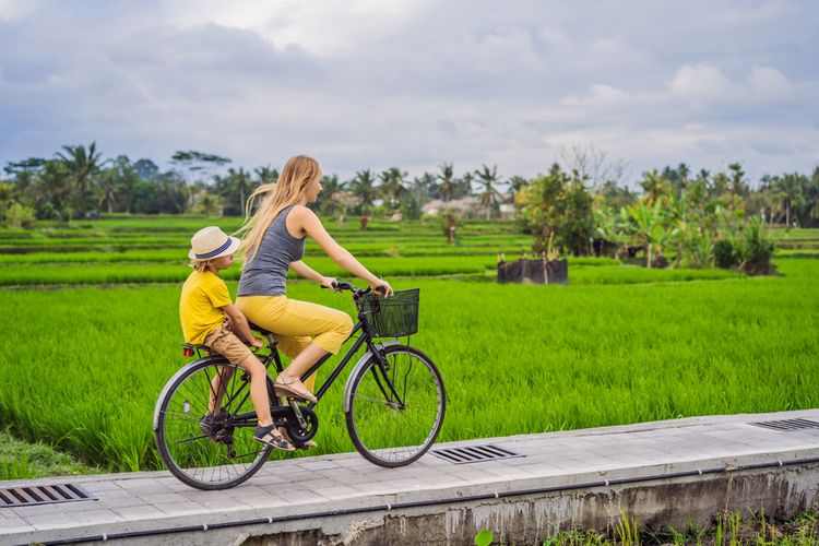 Ilustrasi cafe ubud dengan pemandangan hamparan sawah yang menyegarkan.