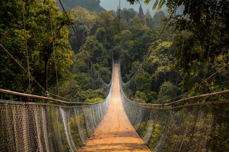 Ilustrasi. Wisatawan bisa mencoba wahana Keranjang Sultan di yanga da di sekitar jalur keluar dari kawasan Situ Gunung Suspension Bridge Sukabumi yang memacu adrenalin.