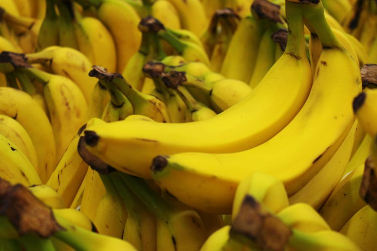 Makanan untuk Meredakan Diare dengan Cepat, Ada Diet BRAT dan Yogurt