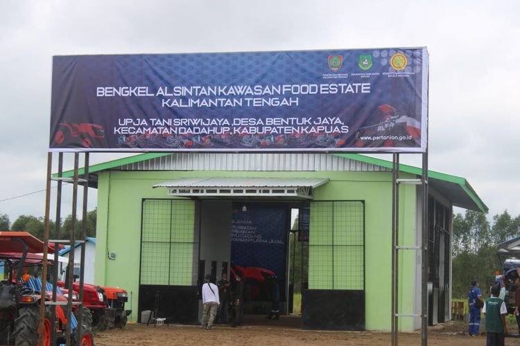 Salah satu lokasi Food Estate Kalimantan Tengah di Desa Bentuk Jaya (Blok A5), Kecamatan Dadahup, Kabupaten Kapuas. 