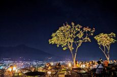 5 Restoran Romantis di Batu untuk Dinner Valentine Day