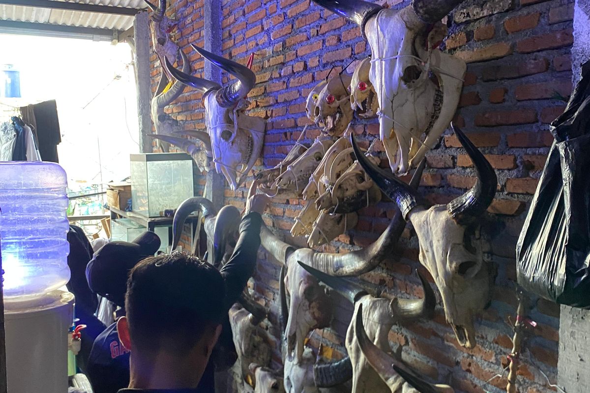 Tersangka AKP menyimpan 29 bagian tubuh satwa dilindungi, di Malang, Jawa Timur. 