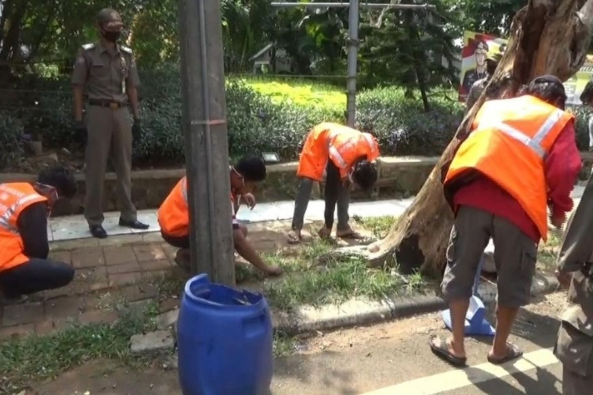 Para pelanggar PSBB di Jalan Basuki Rachmat, Jatinegara, Jakarta Timur diberi hukuman membersihkan rumput dan sampah, Rabu (3/6/2020).