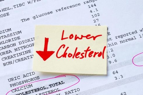 Kadar Kolesterol 