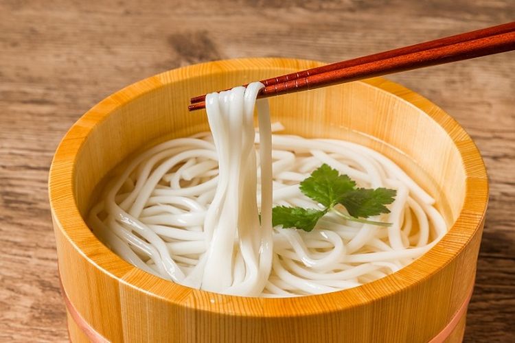 Ilustrasi udon 