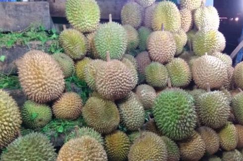 Kedai Durian di Pekanbaru, Buka dari Pagi hingga Larut Malam
