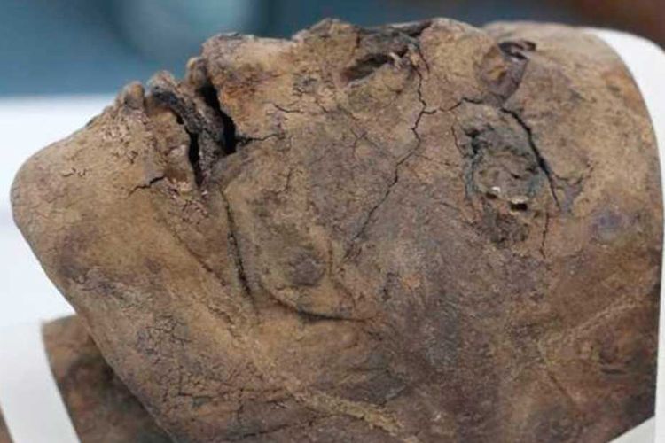 Kepala mumi wanita Mesir berusia 2.700 tahun yang dikelola Museum dan Galeri Canterbury