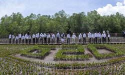 Apa Kabar Pengelolaan Mangrove di Indonesia?