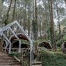 Menyusuri Kabut dan Pinus di Menoreh, Borobudur Highland Suguhkan Alam, Budaya, dan Petualangan